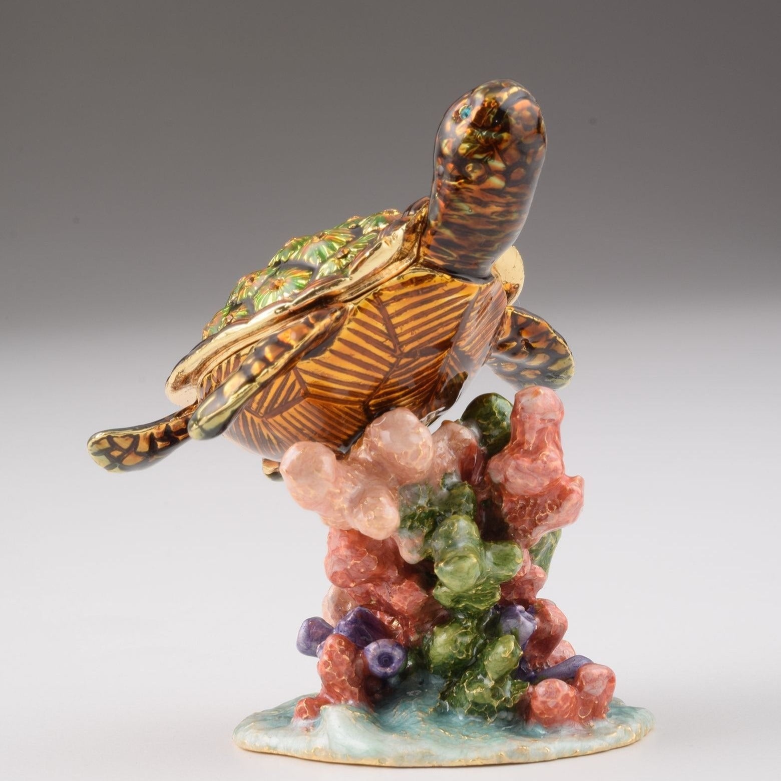 Keren Kopal Turtle on a Rock