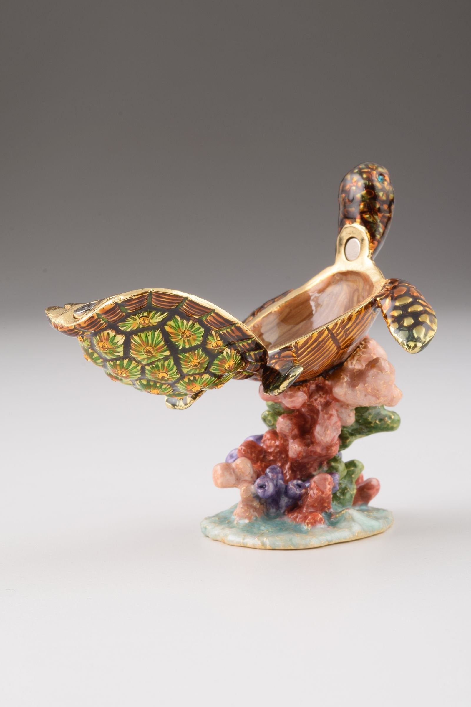 Keren Kopal Turtle on a Rock