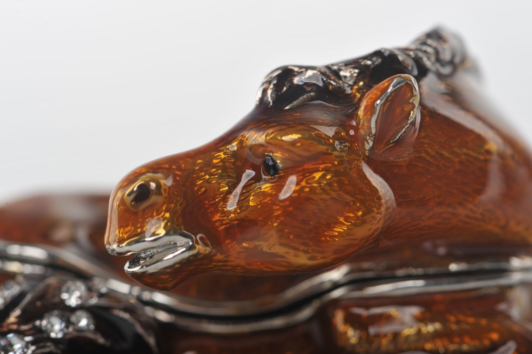 Keren Kopal Zodiac Horse Laying on Hand