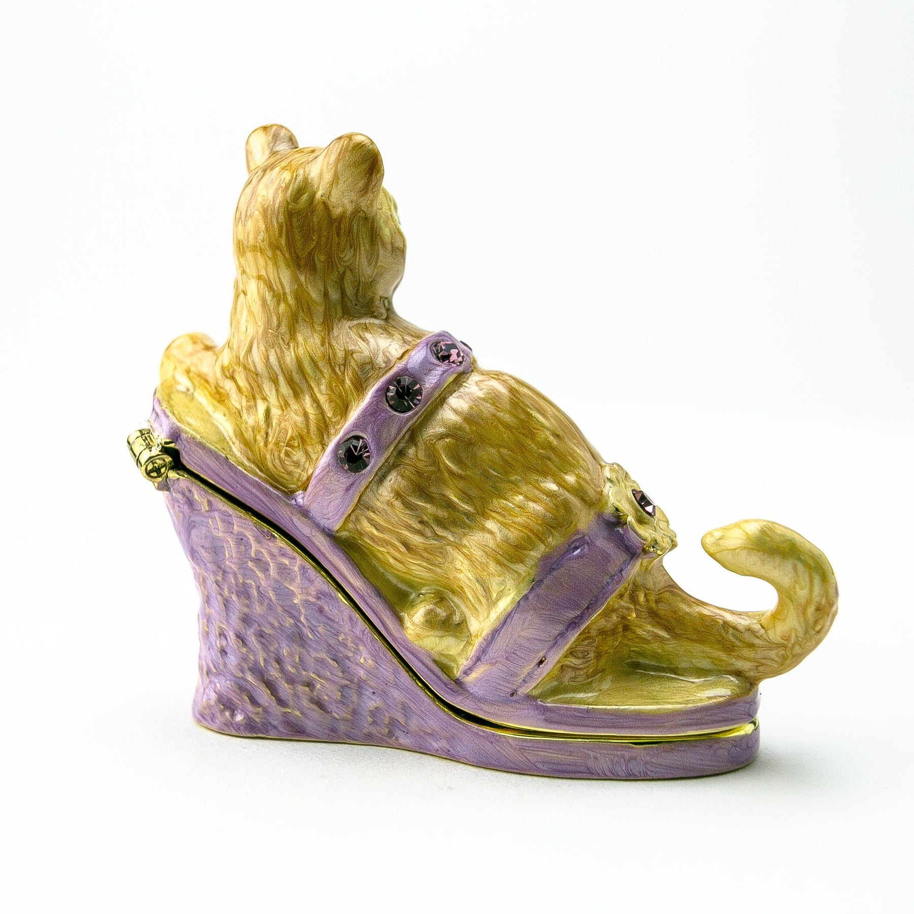 Keren Kopal Cat sitting on an Evening Shoe
