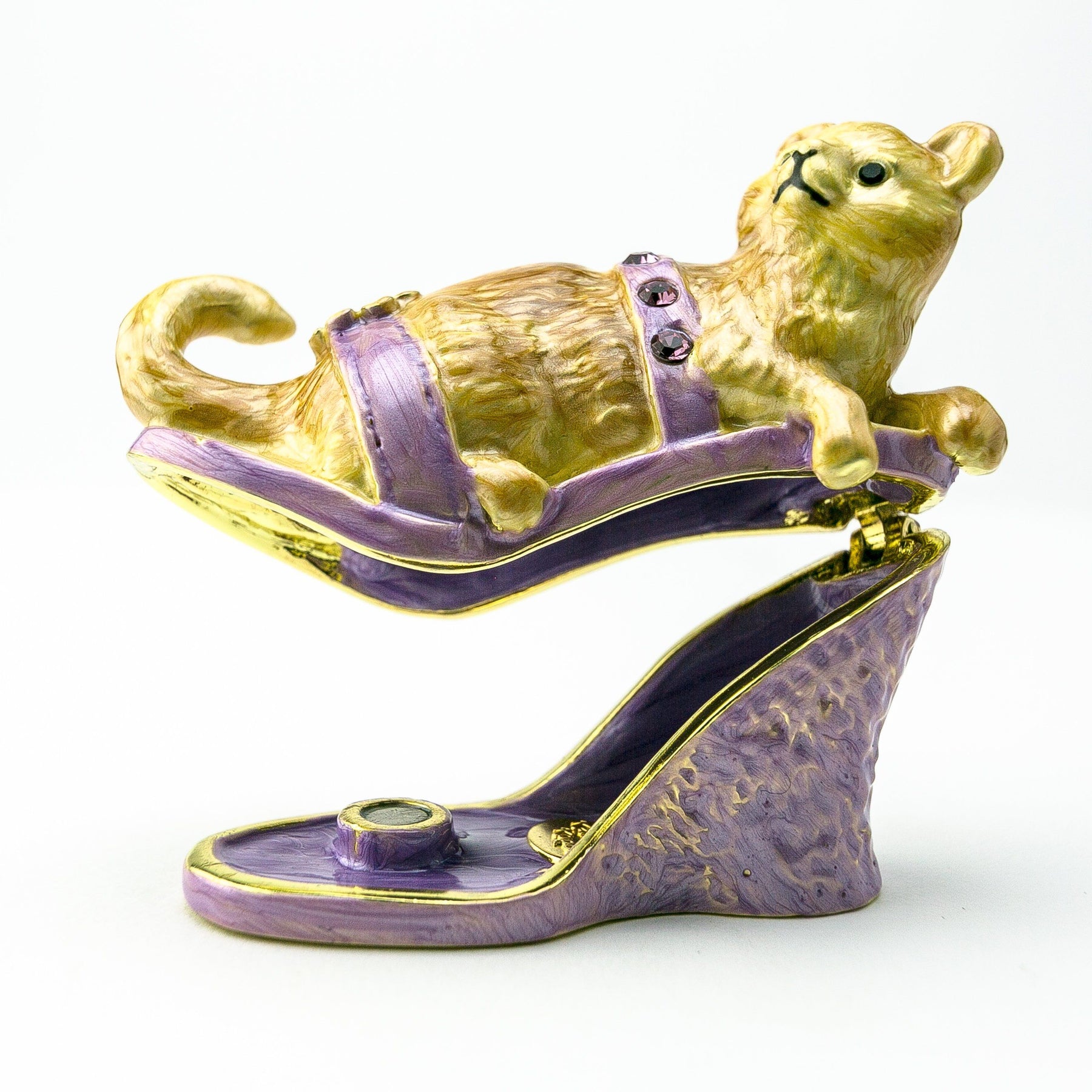 Keren Kopal Cat sitting on an Evening Shoe