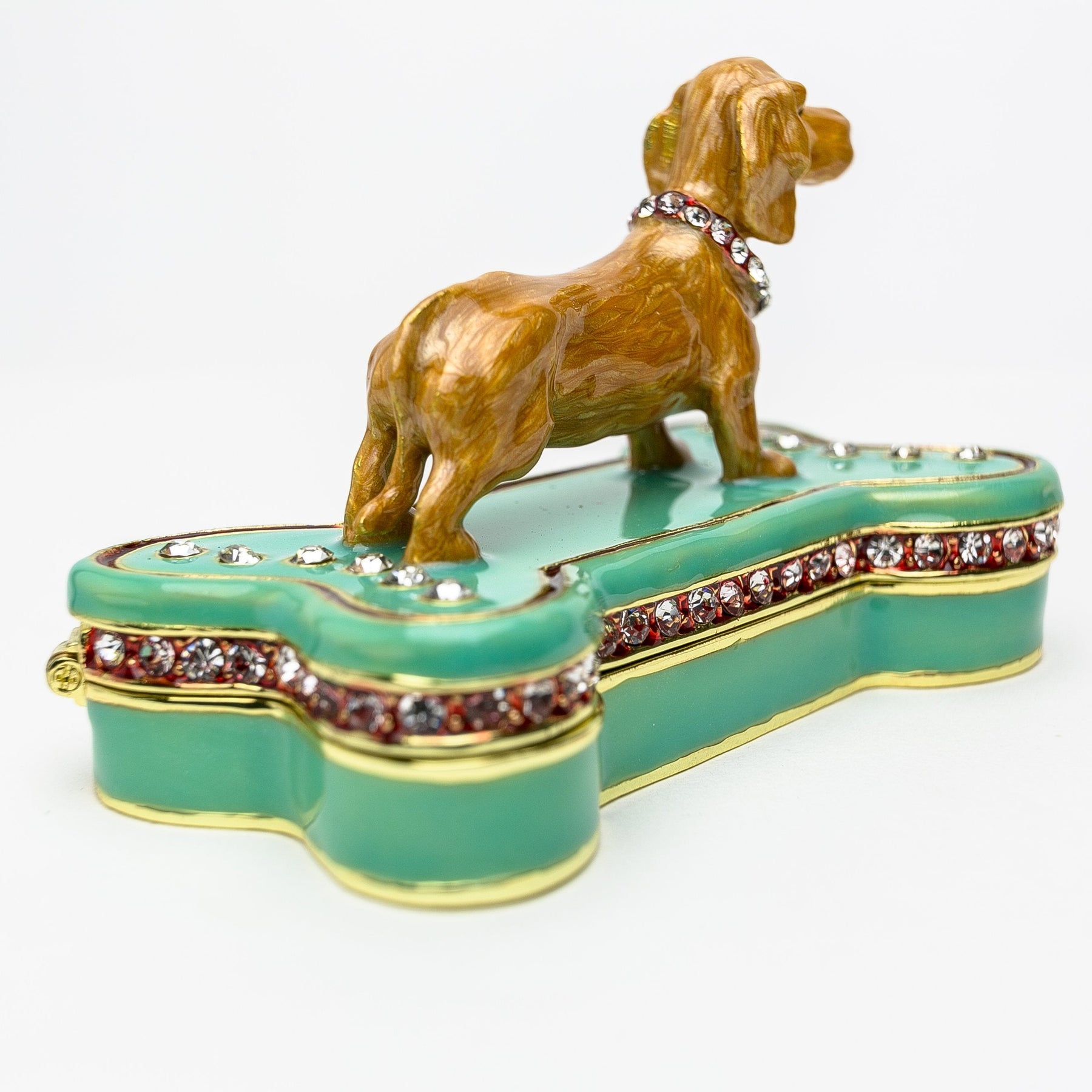 Keren Kopal Dachshund Dog Sitting on Bone