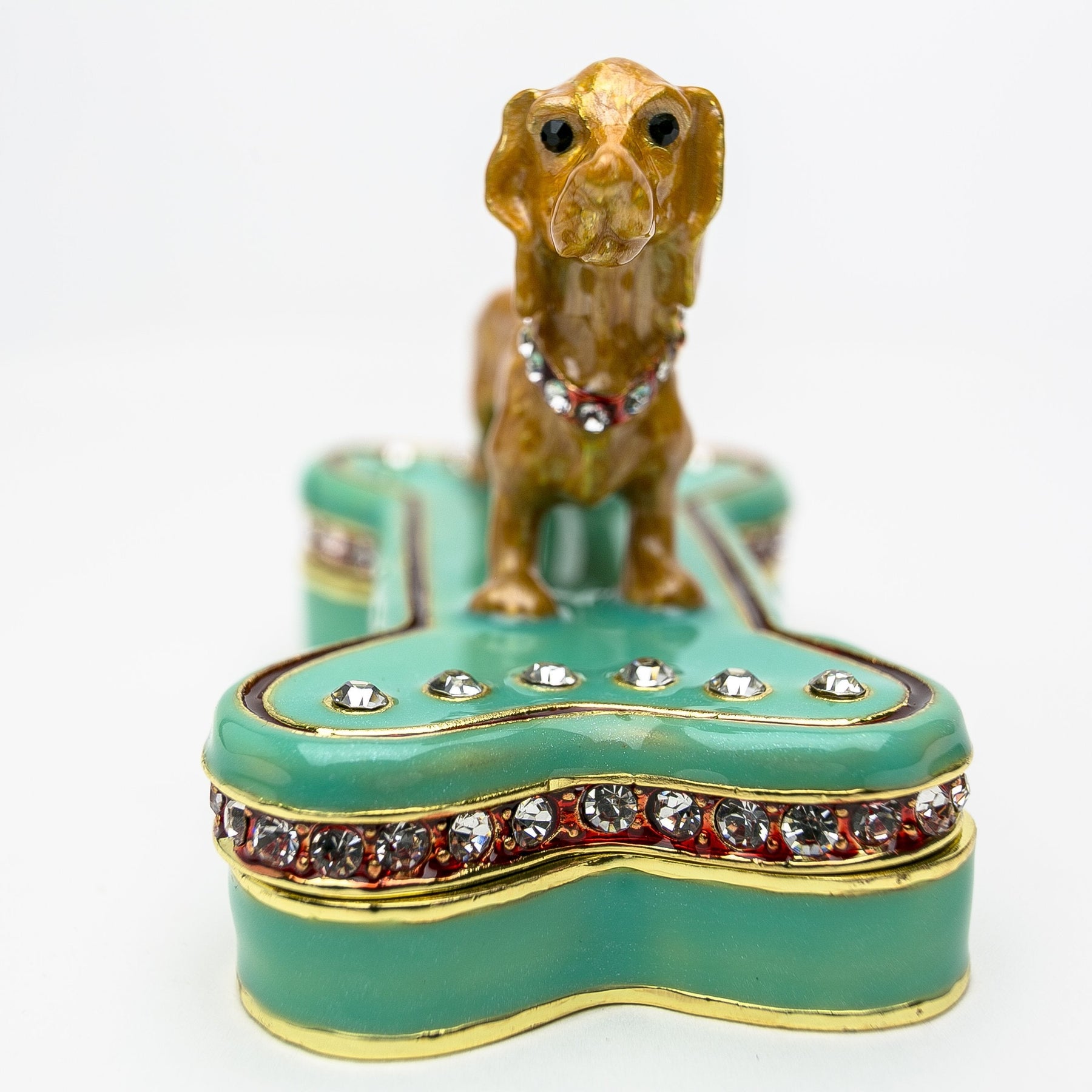 Keren Kopal Dachshund Dog Sitting on Bone