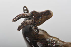 Keren Kopal Zodiac Ram Laying on Hand