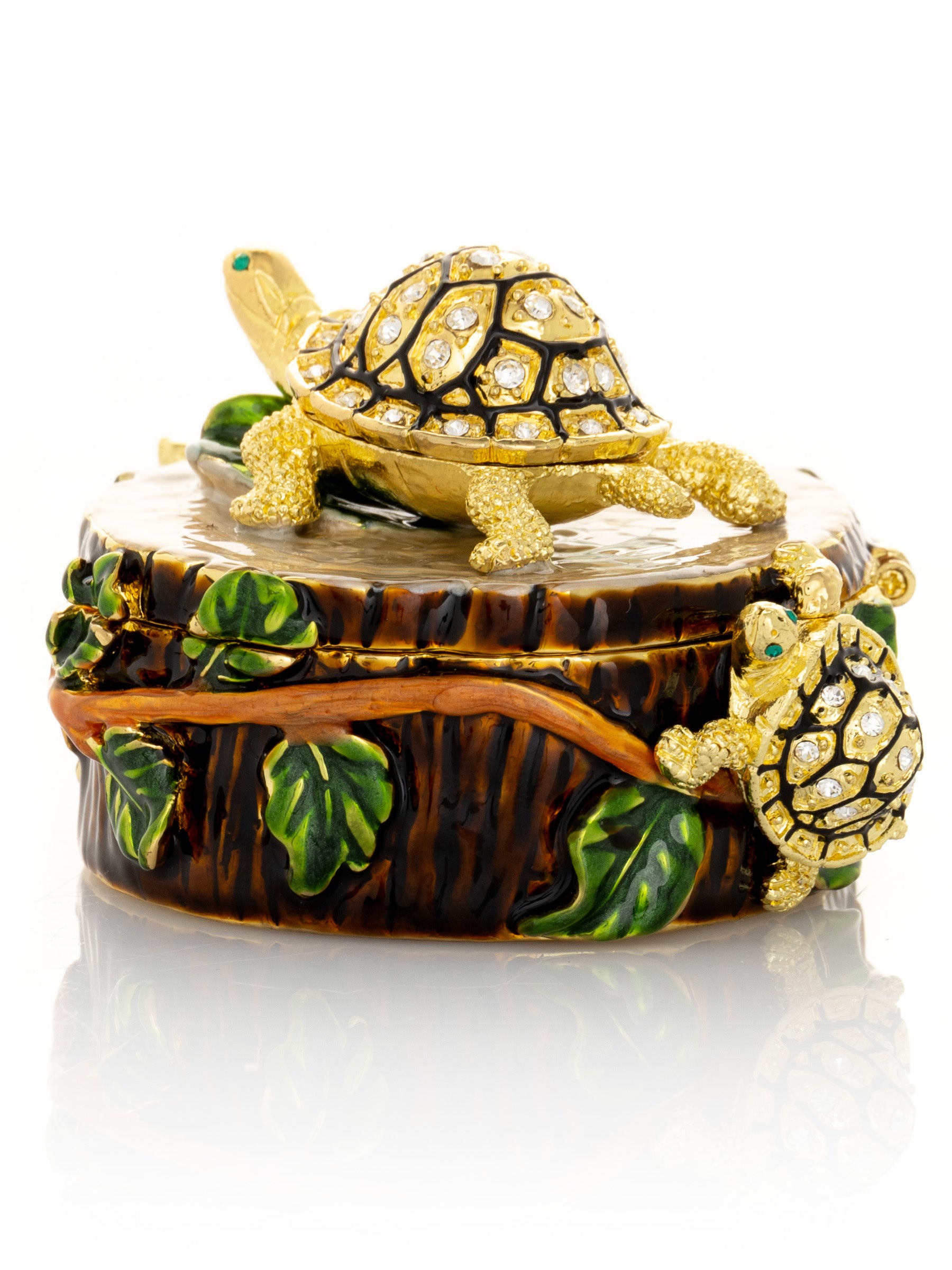 Keren Kopal Turtles on Tree Trunk