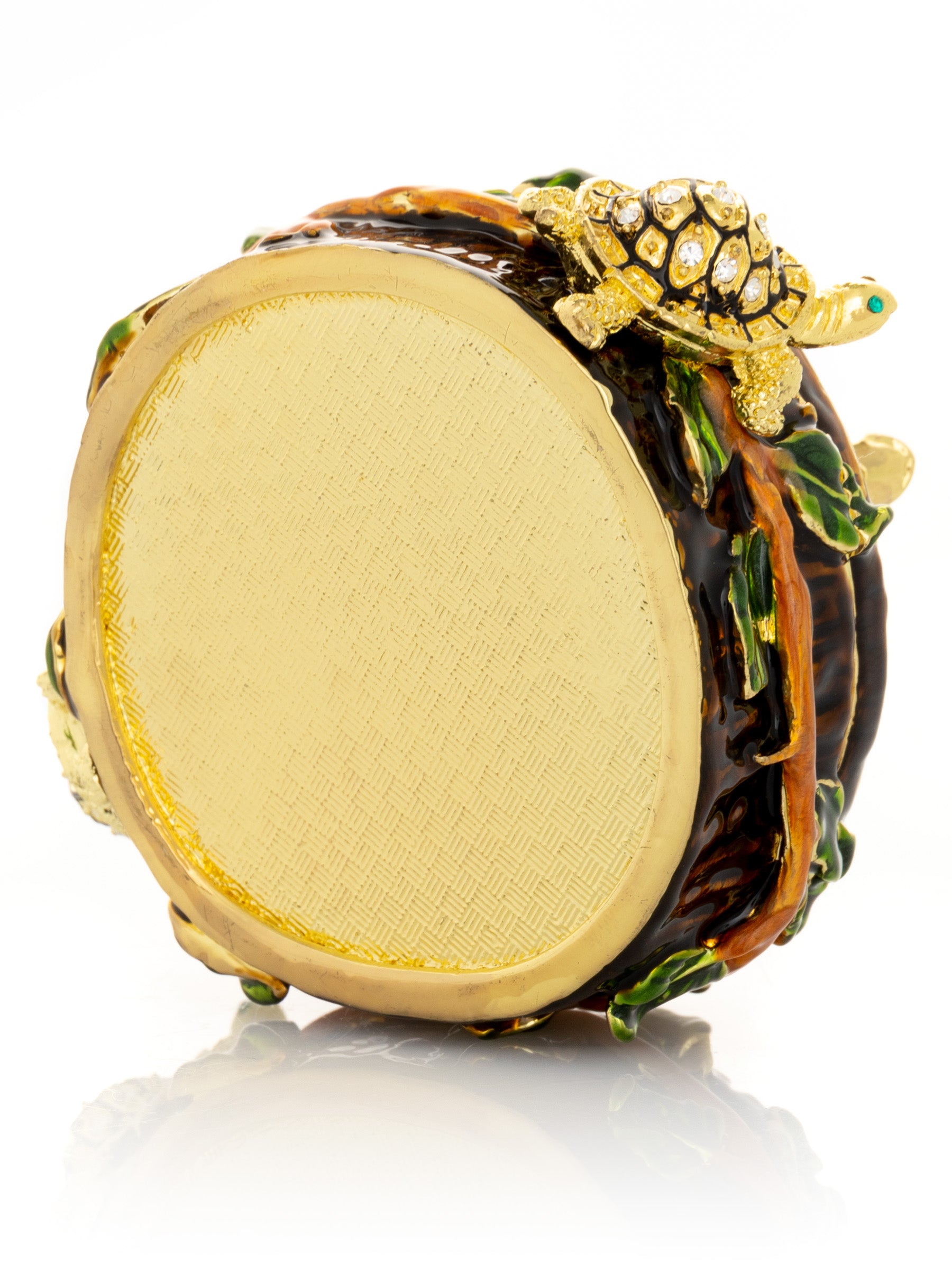 Keren Kopal Turtles on Tree Trunk