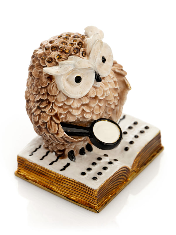 Owl Reading a Book