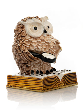 Owl Reading a Book