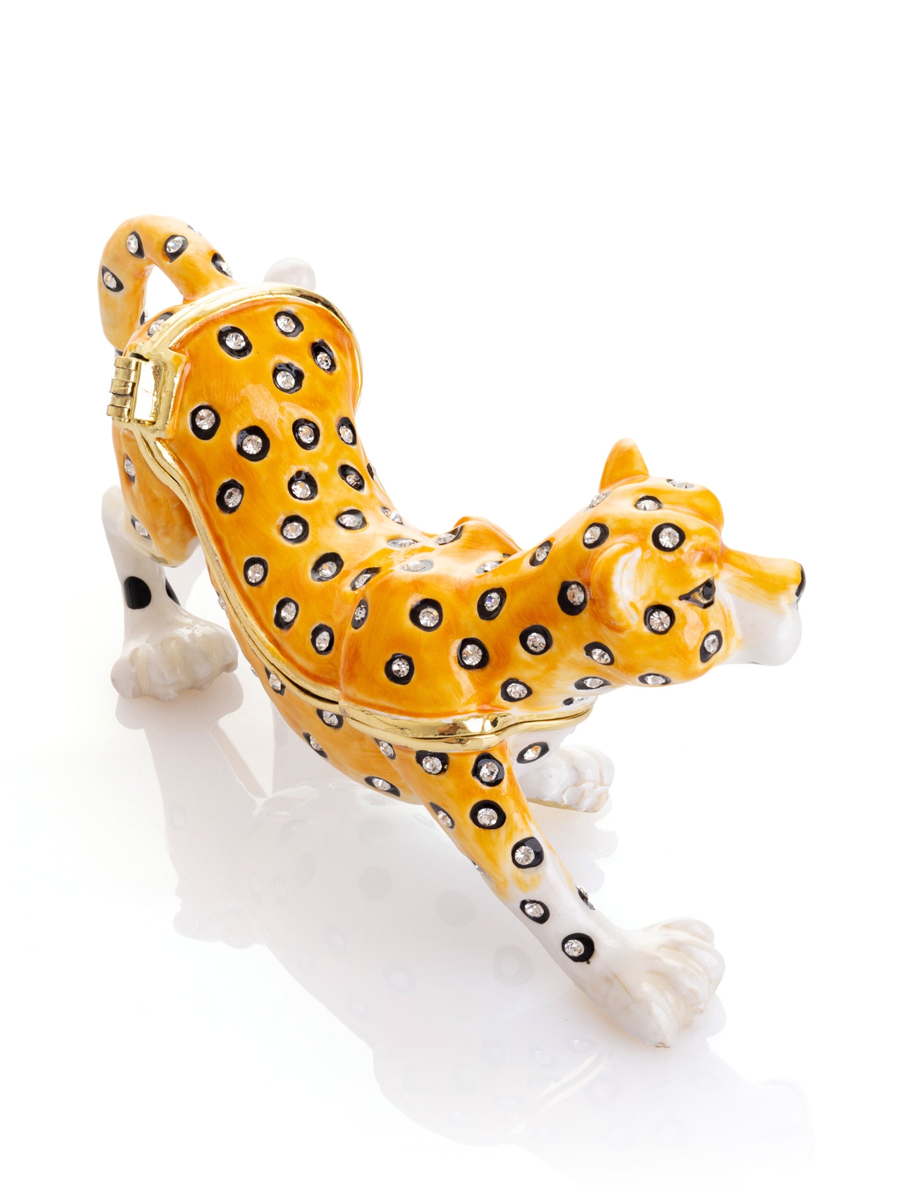 Keren Kopal Cheetah on the Hunt