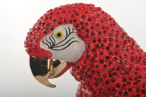 Keren Kopal Colorful Parrot