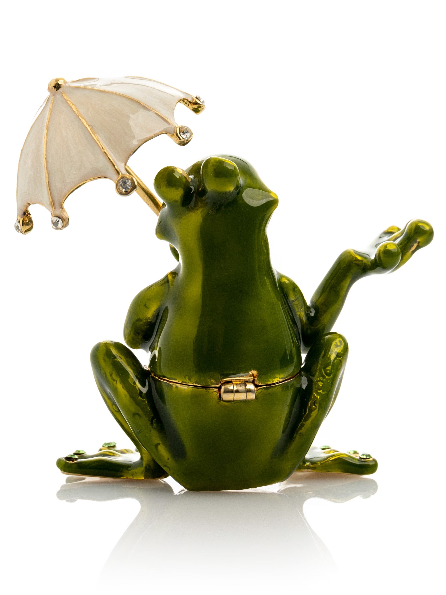 Frog holding an umbrella