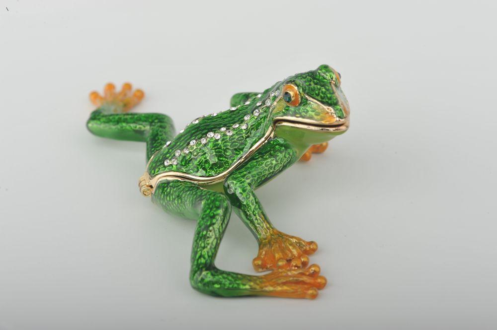 Flexible Green Frog  Keren Kopal