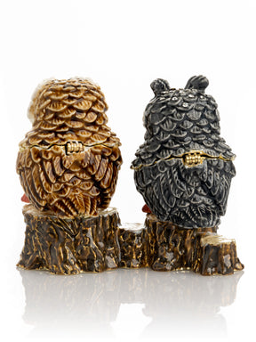 Two Owls Sitting on Tree Trunk