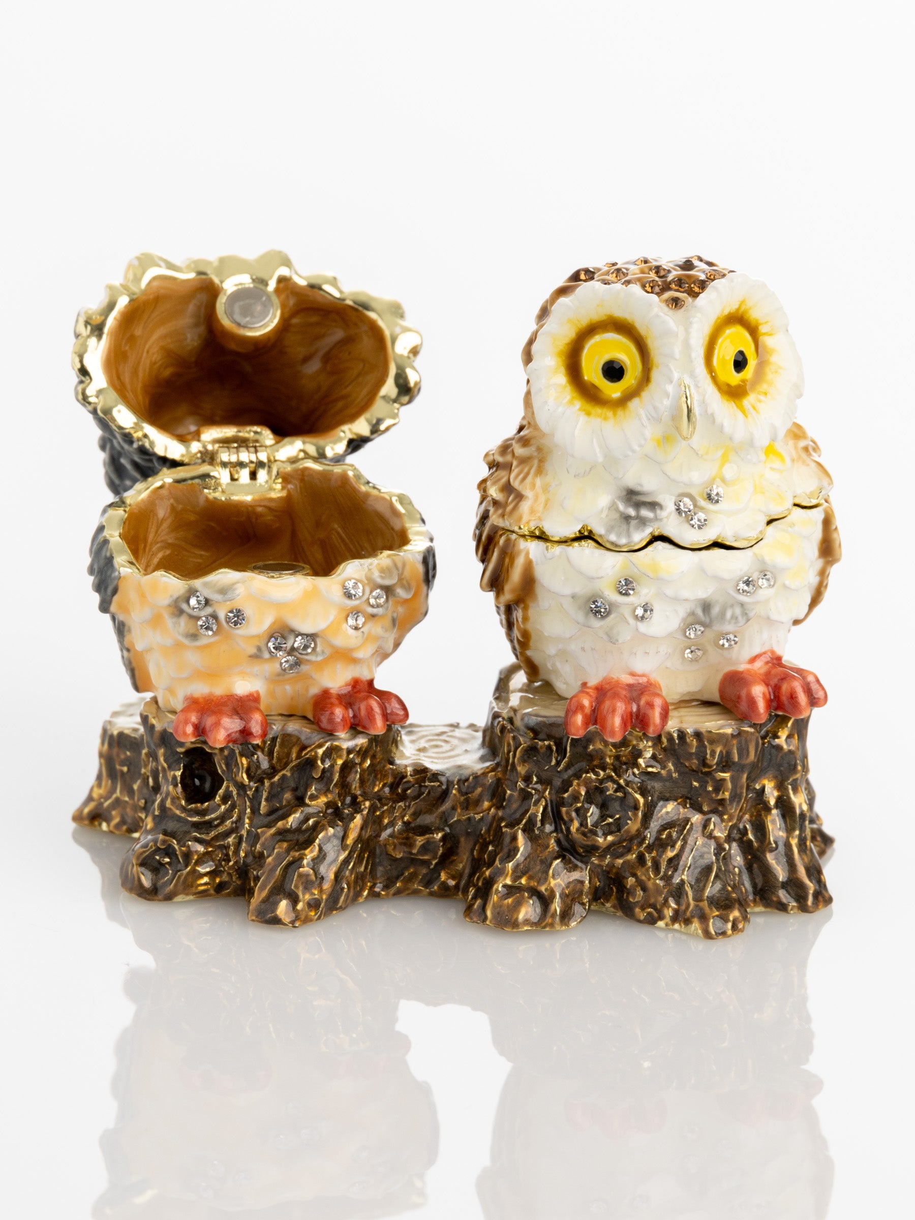 Two Owls Sitting on Tree Trunk