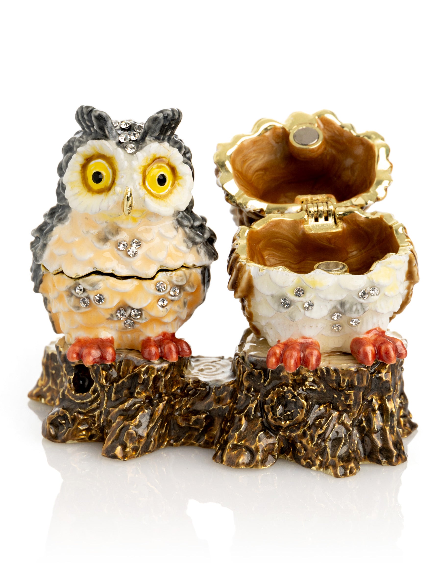 Two Owls Sitting on Tree Trunk