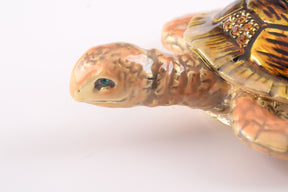 Brown Sea Turtle trinket box Keren Kopal